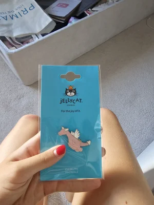 Duskrise Dragon Pin Badge Jellycat photo