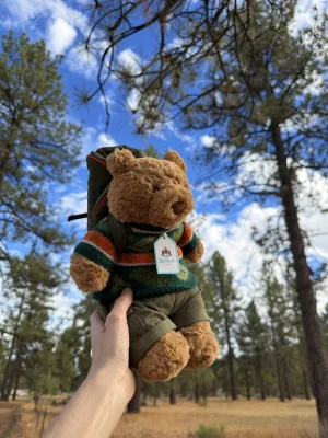 Bartholomew Bear Hiking Outfit Jellycat photo