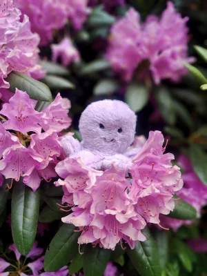 Photo by jellycatmandy