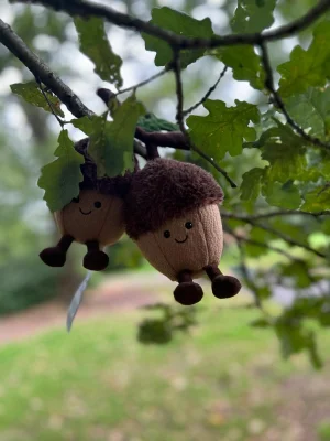 Amuseables Ort & Tum Acorns Jellycat | Jelly Journal