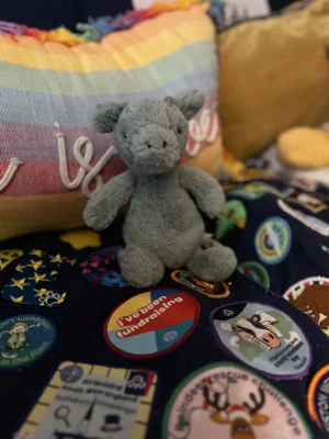 Bashful Dragon Jellycat photo uploaded by Megan_Daffodil