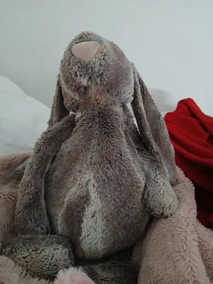 Bashful Woodland Bunny - Huge Jellycat photo