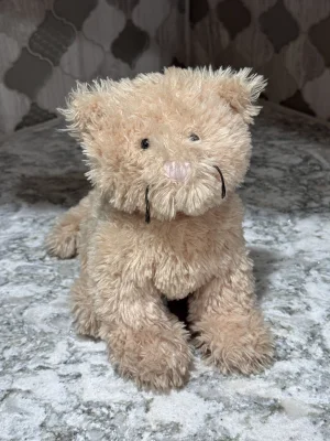 Caffuffle Cat Jellycat photo