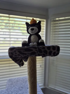 A photo of Jellycat Jack Jellycat taken by Polaris
