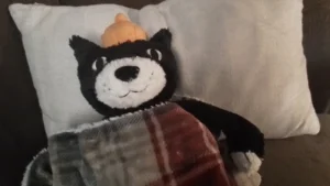 A photo of Jellycat Jack Jellycat taken by Polaris