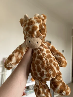 Bashful Giraffe - Medium Jellycat photo uploaded by Leah_Sykess