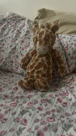 Bashful Giraffe - Medium Jellycat photo
