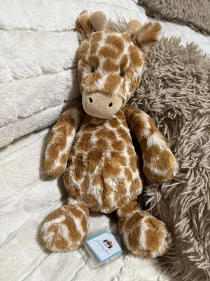Bashful Giraffe - Medium Jellycat photo