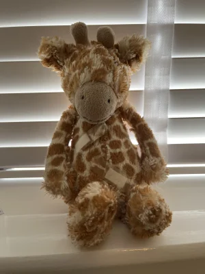 Bashful Giraffe - Medium Jellycat photo