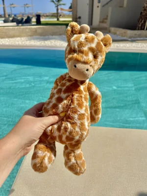 Bashful Giraffe - Medium Jellycat photo