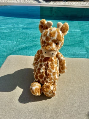 Bashful Giraffe - Medium Jellycat photo