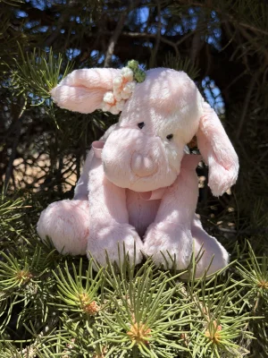 A photo of Patches Puppy Pink - Medium Jellycat taken by jellycatangel