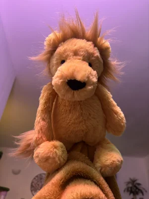 A photo of Bashful Lion 2011 - Medium Jellycat taken by sablelovesjelly