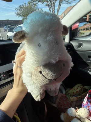 Truffles Sheep 2011 - Medium Jellycat photo