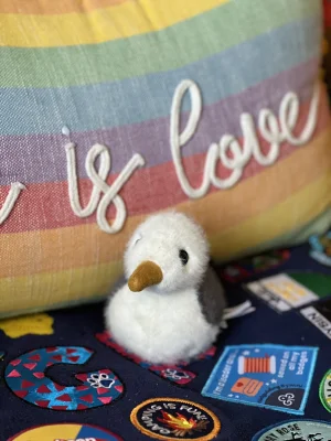 A photo of Birdling Seagull Jellycat taken by Megan_Daffodil