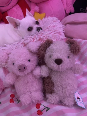 Little Pup Jellycat photo