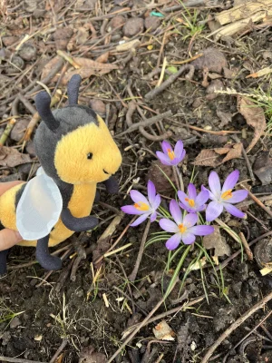 Brynlee Bee Jellycat photo uploaded by Amused