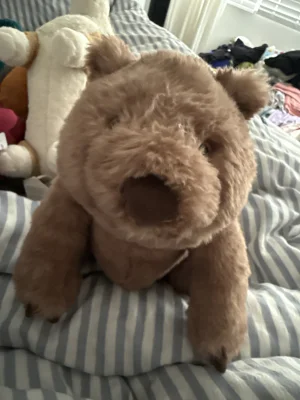 Wonda Wombat Jellycat photo