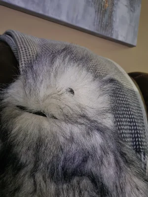 Bretti Yeti Jellycat photo