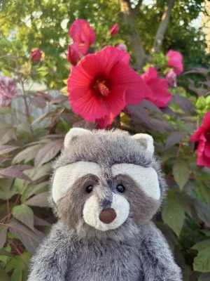 Trixiwoo Raccoon Jellycat photo