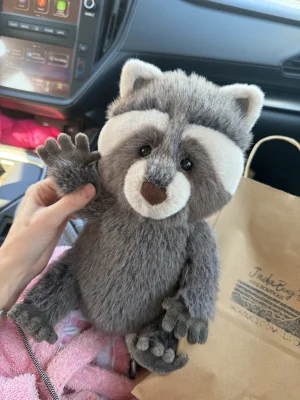 Trixiwoo Raccoon Jellycat photo