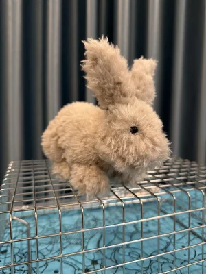 Hoppity Bunny Beige Jellycat photo