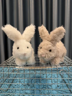 Hoppity Bunny Beige Jellycat photo