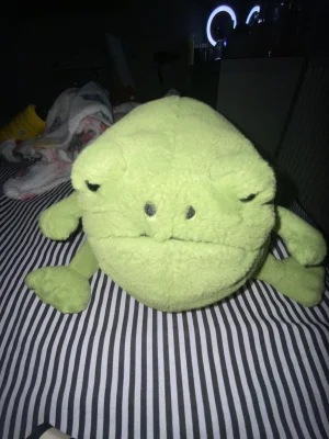 Ricky Rain Frog Jellycat photo