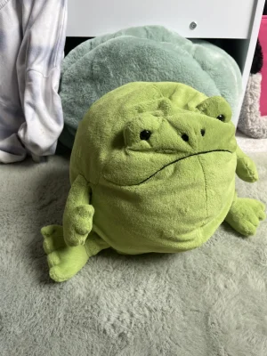 Ricky Rain Frog Jellycat photo