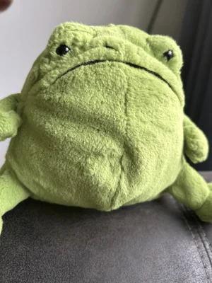 Ricky Rain Frog Jellycat photo uploaded by Jellycat_Joy<3
