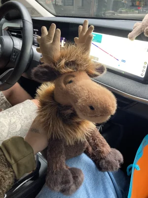 Birchly Moose Jellycat photo