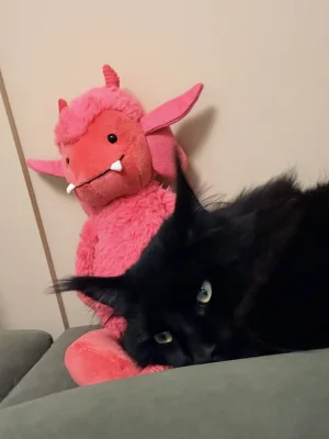 A photo of Pandora Pixie Jellycat taken by MerlinNessieRaven