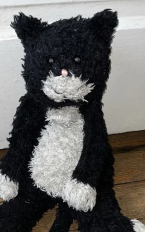 A photo of Bashful Black & White Cat - Small Jellycat taken by Cazpet