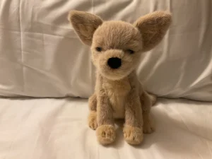 A photo of Yapsby Chihuahua Jellycat taken by Daisy_123