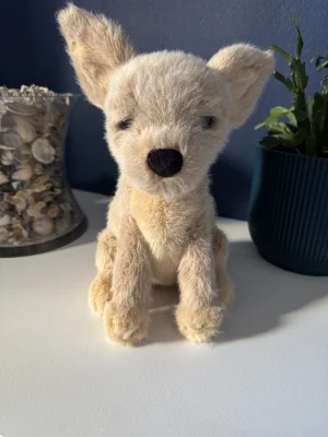 A photo of Yapsby Chihuahua Jellycat taken by Lottiescoll1
