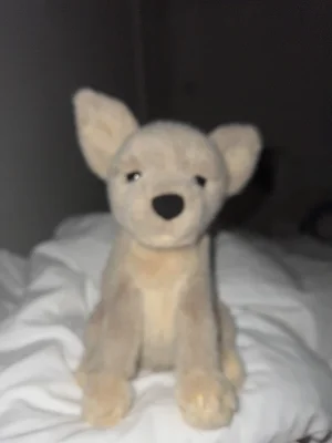 A photo of Yapsby Chihuahua Jellycat taken by jellycat1235