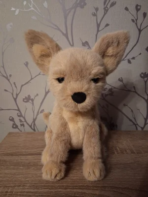 Yapsby Chihuahua Jellycat photo