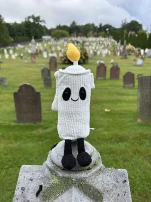 Photo by myplushieadventures