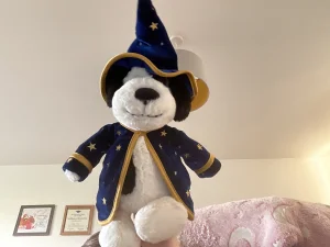 Rufferty Puppy 'Wizard' Jellycat photo