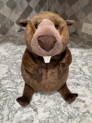 Briggs Beaver Jellycat photo uploaded by SnowLeopard821