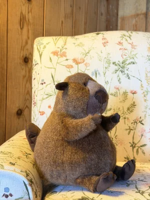 Photo by jellycatangel