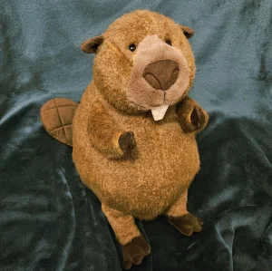 Photo by minnievan