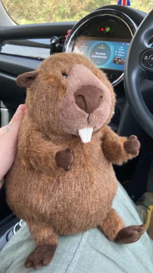 Briggs Beaver Jellycat photo