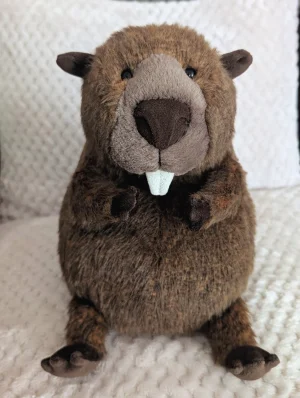 Briggs Beaver Jellycat photo