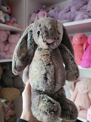 Bashful Cottontail Bunny Jellycat | Jelly Journal