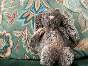 Bashful Cottontail Bunny - Medium Jellycat photo uploaded by jellyelly23