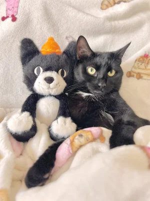 Jellycat Jack Junior Jellycat photo