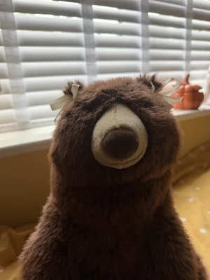A photo of Bizzlestomp Bear Jellycat taken by Louisa21