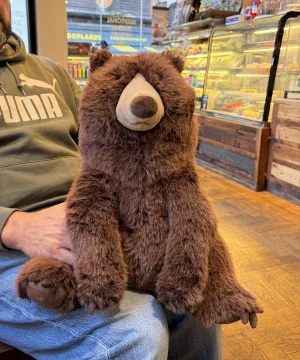 A photo of Bizzlestomp Bear Jellycat taken by Elaine