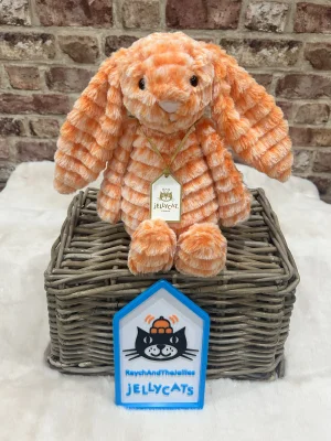 Fizzleskip Bunny Jellycat photo